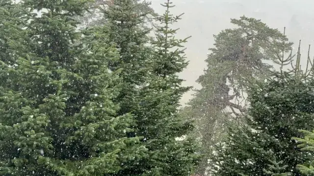 İstanbul'un yanı başına kar yağdı