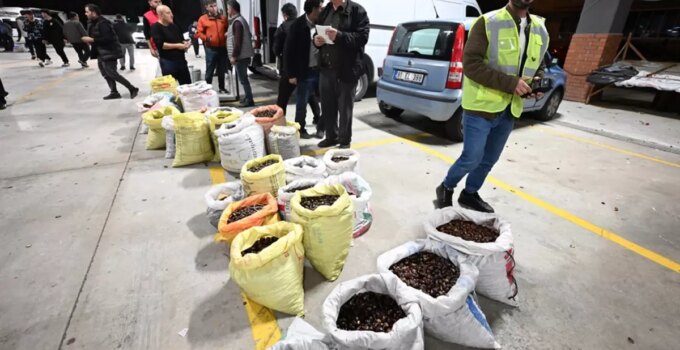 Kilosu 400 liraya satışa çıktı! Herkes bu lezzetin peşinde