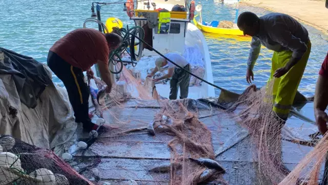 'Bu yıl olmaz' diyorlardı, Karadeniz'den müjde geldi