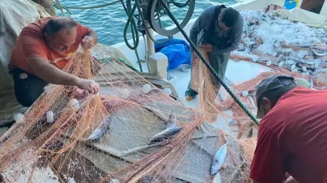 'Bu yıl olmaz' diyorlardı, Karadeniz'den müjde geldi