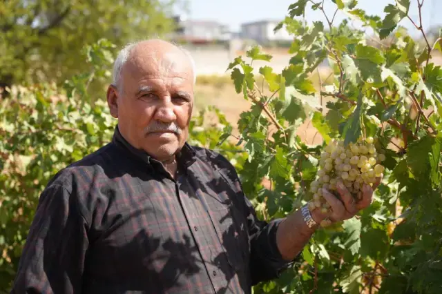Üreticilere örnek oldu! Alternatif ürün baba-oğlu ihya etti